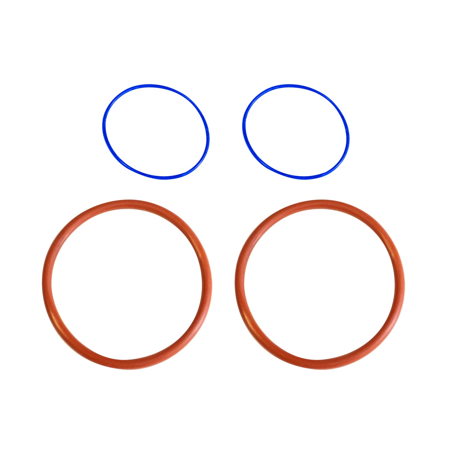 Filter Housing O-Ring Set - 2L Express Cold Brew